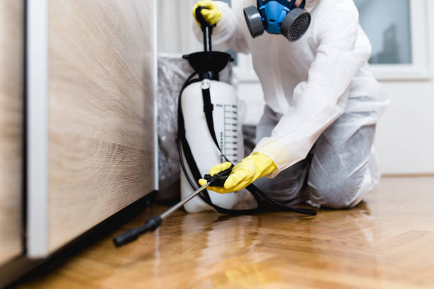 Best Pest Control Cost  in Thompsons Station, TN