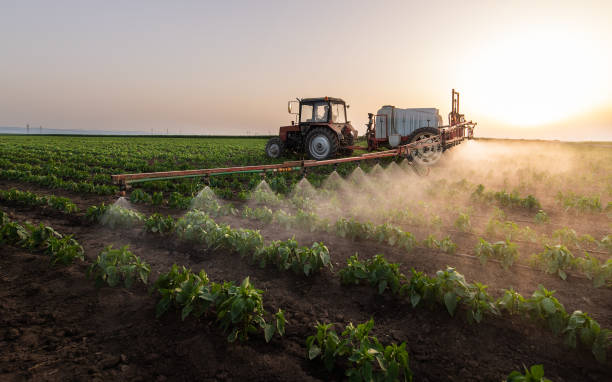Pest Control Cost in Thompsons Station, TN