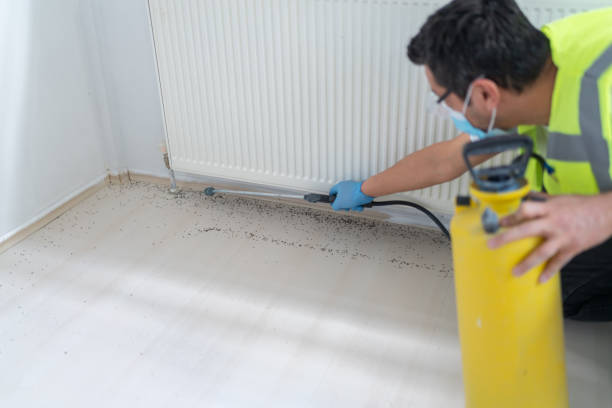 Best Wasp Removal Services  in Thompsons Station, TN